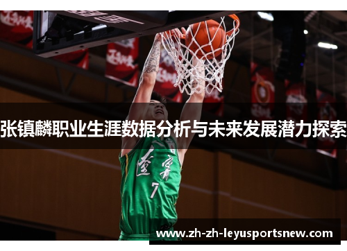 张镇麟职业生涯数据分析与未来发展潜力探索